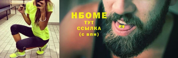 молекула духа Пестово