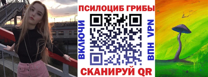 хочу   Фурманов  MEGA как зайти  Псилоцибиновые грибы Psilocybe 